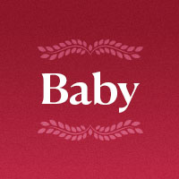 Shop Harvard Baby Gear